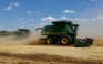 3 nước châu Âu cấm nhập khẩu ngũ cốc từ Ukraine