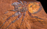 Phát hiện hóa thạch nhện khổng lồ 15 triệu năm