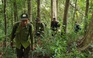Đà Nẵng: Truy quét, ngăn chặn khai thác vàng trái phép ở xã miền núi Hòa Bắc