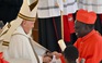 Giáo hoàng Francis tấn phong 21 hồng y, bổ sung danh sách ứng viên kế nhiệm