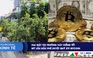 CHUYỂN ĐỘNG KINH TẾ ngày 12.1: Hai mặt thị trường cây kiểng tết | Mỹ lần đầu phê duyệt quỹ ETF bitcoin