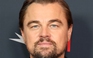 Cuộc đời Leonardo DiCaprio qua những bức ảnh