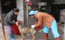 Bệnh dại lan rộng, Quảng Ninh tiêm vắc xin cho hàng vạn chó, mèo