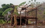 Mưa đá, lốc xoáy tại Thanh Hóa làm tốc mái 179 nhà dân