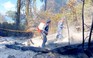 Khống chế đám cháy tại bìa rừng Vườn quốc gia Phú Quốc
