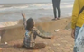 Nam Định: Một du khách bị đuối nước mất tích tại bãi tắm tự phát