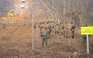 Triều Tiên gài mìn trên con đường chiến thuật trong khu phi quân sự liên Triều?