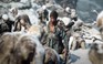 'Black Myth: Wukong' hứa hẹn mang đến hơn 80 con trùm đáng sợ