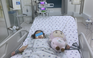 TP.HCM: Can thiệp ECMO cứu trẻ mắc cúm A gây tổn thương phổi