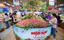 Lễ hội mận hậu và nông sản tỉnh Sơn La diễn ra tại Saigon Co.op