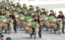 Toàn cảnh sơ duyệt Lễ diễu binh kỷ niệm 70 năm chiến thắng Điện Biên Phủ