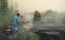 Điều tra, xử lý nghiêm người gây cháy rừng ở Vườn quốc gia Tràm Chim