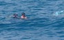 Ngư dân Quảng Ngãi mất tích tại vùng biển Trường Sa