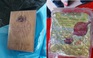 Bắt giữ người đàn ông chở 1,3 kg ma túy tại phà Đình Khao