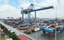 Cước vận tải biển tăng vọt, hàng xuất khẩu gặp khó