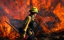 Ô nhiễm do cháy rừng khiến hơn 50.000 người chết sớm ở California?