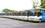 Đà Nẵng: Công ty xe buýt Quảng An 1 nợ BHXH hơn 12 tỉ đồng