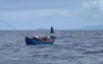 Xuất hiện cá voi săn mồi ở biển Bình Định
