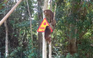TP.HCM: Khỉ mặt đỏ hù dọa người đi đường được thả về khu bảo tồn