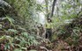 Cán bộ, nhân viên Trạm quản lý bảo vệ rừng Lán Tranh bị hành hung