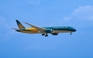 Chim lạc - Biểu tượng văn hóa trên đôi cánh Vietnam Airlines