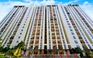 Nhiều chung cư ở TP.HCM đồng loạt treo cờ Tổ quốc mừng 50 năm đất nước thống nhất