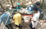 Đi soi ếch trong rừng qua đêm, một người đàn ông tử vong