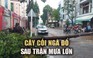 Long An: TP.Tân An ngập sâu, cây cối ngã đổ do mưa lớn