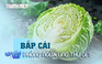 Bắp cải phòng ngừa những bệnh ung thư nào?