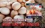 Chủ trang trại gà 'khóc ròng' vì tin đồn trứng giả, Hiệp hội Gia cầm Việt Nam lên tiếng