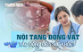 Nội tạng động vật tác động đến sức khỏe như thế nào?