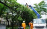 Ngành điện TP.HCM tăng cường an toàn điện mùa mưa, bão