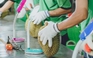 Cơ hội cho sầu riêng tăng xuất khẩu vào Trung Quốc