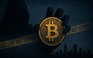 Chấn động vụ án bắt cóc, tra tấn triệu phú Bitcoin