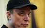 Tỉ phú Elon Musk bức xúc trước thông tin ông sử dụng ma túy