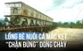 Lũ cuốn lồng cá, bộ đội ngâm mình 'giải cứu' đập Trạch An