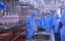 Bình Phước kiểm tra công tác an toàn thực phẩm tại nhà máy CPV Food
