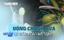 Uống nước chanh dừa có thật sự là phương pháp giảm cân an toàn?