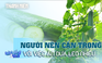 Những người nên cẩn trọng với việc ăn dưa leo thường xuyên