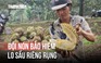 Đội nón bảo hiểm trong vườn sầu riêng, gom từng trái rụng giữa nỗi lo ế ẩm