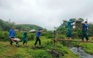 Sức trẻ trên những ngôi nhà mới