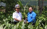 Bàn giao công trình thanh niên 'Dừa Bến Tre với biển, đảo quê hương'
