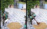 Hành động bất ngờ của shipper với chủ nhà lúc trời mưa khiến dân mạng tấm tắc