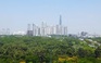 TP.HCM dự kiến đấu giá đất ở Thủ Thiêm đầu tháng 12.2025