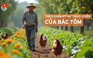 Cùng sống xanh số 115: Kỹ sư thực chiến U70 và những giải pháp thuận tự nhiên trên nông trại