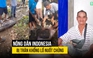 Trăn khổng lồ nuốt chửng nông dân Indonesia