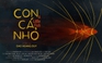 'Con cá nhỏ' | Cuộc thi phim ngắn Vietnamese 2025