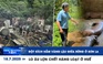 Xem nhanh 12h: Đột kích hầm vàng lậu giữa rừng | Lo âu lợn chết hàng loạt ở Huế