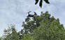 Khi drone tuần thám rừng