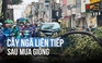 Cây ngã liên tiếp trên đường phố TP.HCM sau cơn mưa giông
